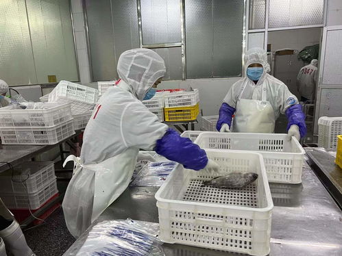 云浮预制菜扬帆出海 新兴农业贸易加速迈进RCEP大市场